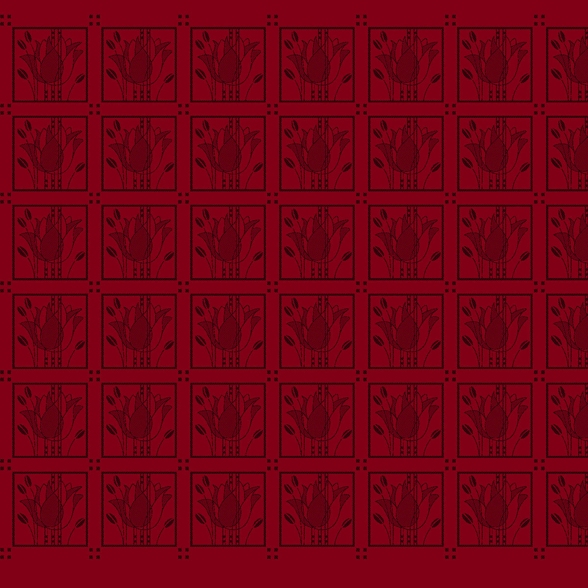 Tulipa Ebon (Gewebte Zweite) [Klasse 2]